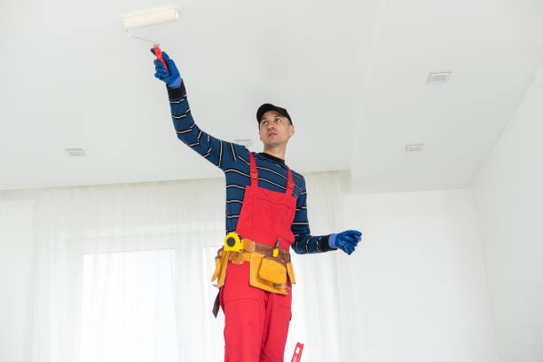 Best Eco-Friendly and Low-VOC Painting  in Olney, TX